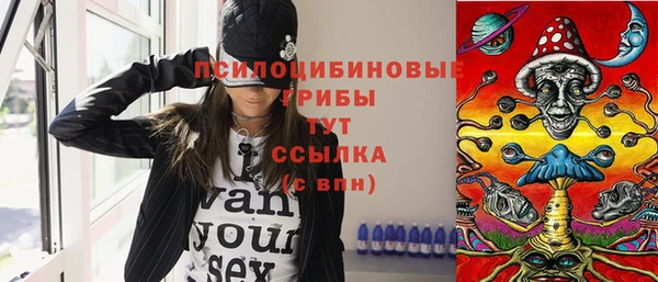 шишки Липки