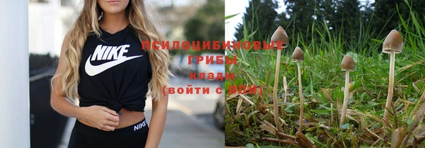 мяу мяу кристалл Горнозаводск