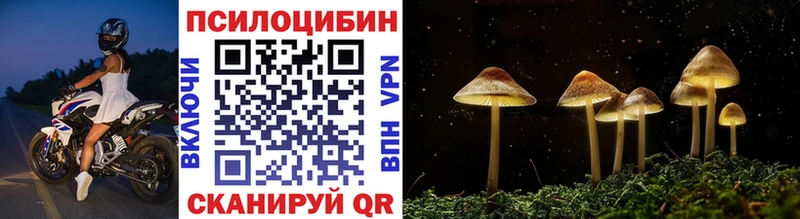 KRAKEN   Ленинградская  Галлюциногенные грибы Cubensis 