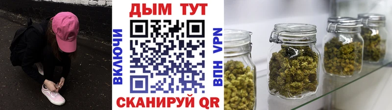 Марихуана OG Kush Ленинградская
